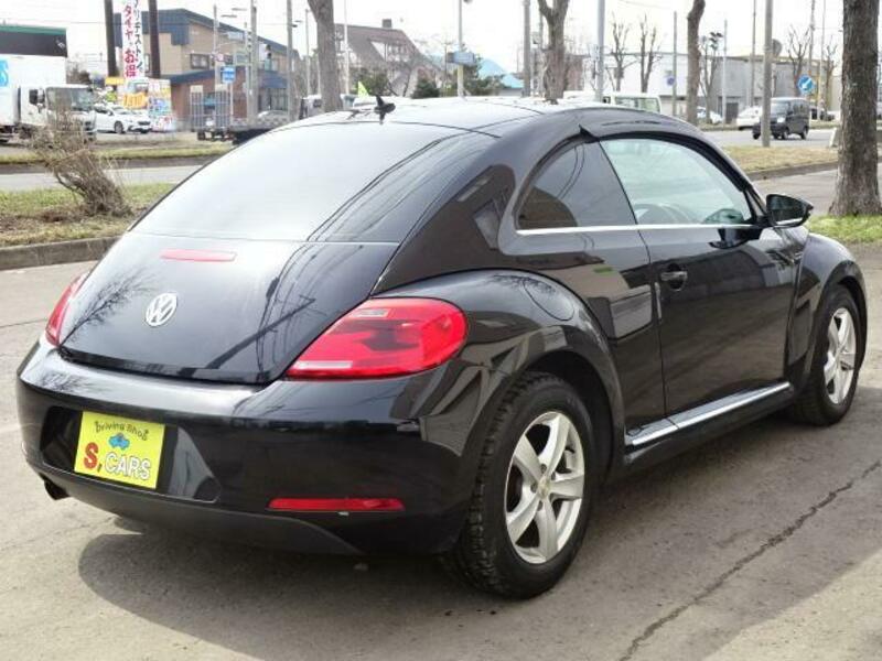 THE BEETLE
