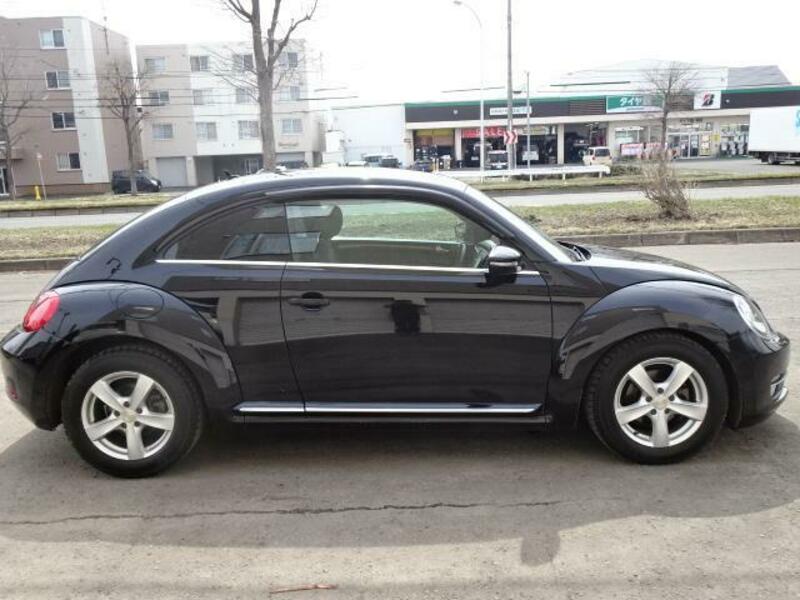 THE BEETLE