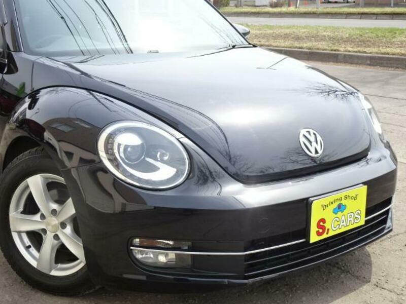 THE BEETLE