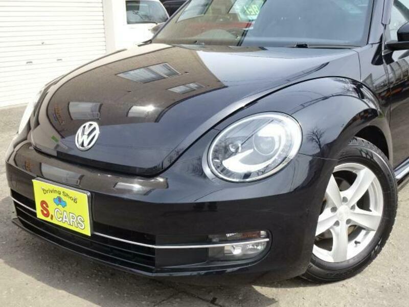 THE BEETLE