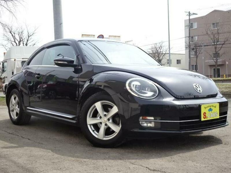 THE BEETLE