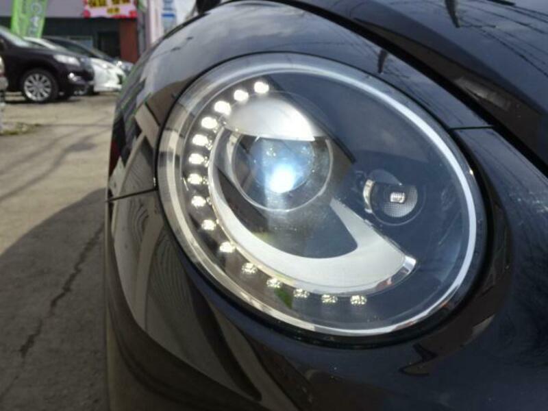 THE BEETLE