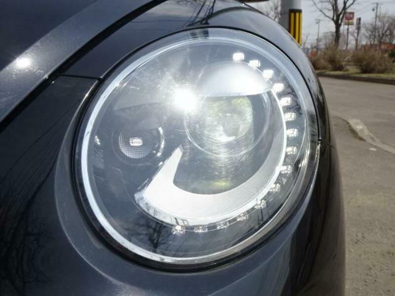 THE BEETLE