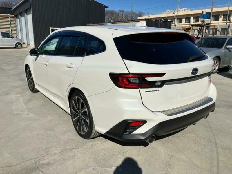LEVORG