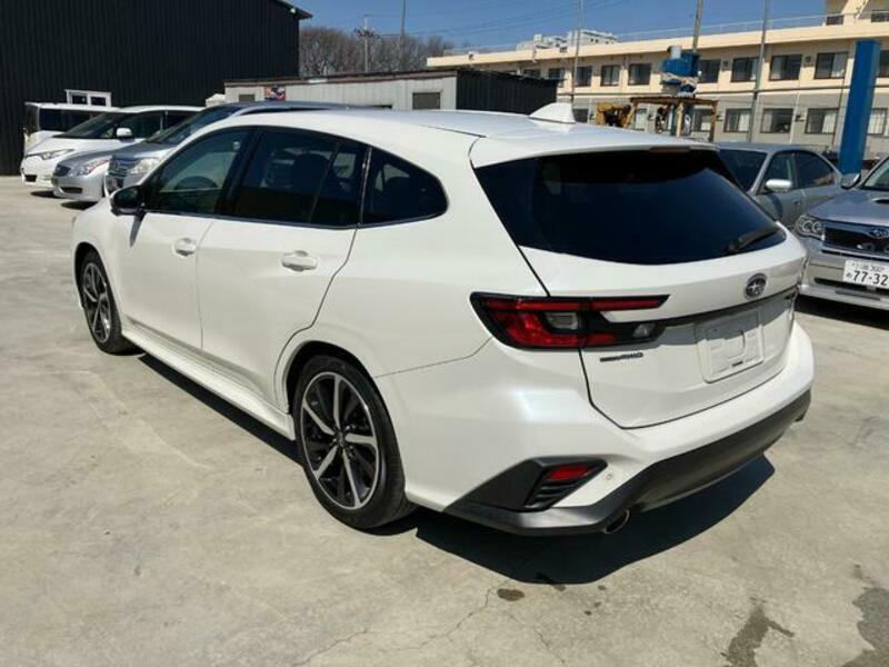 LEVORG
