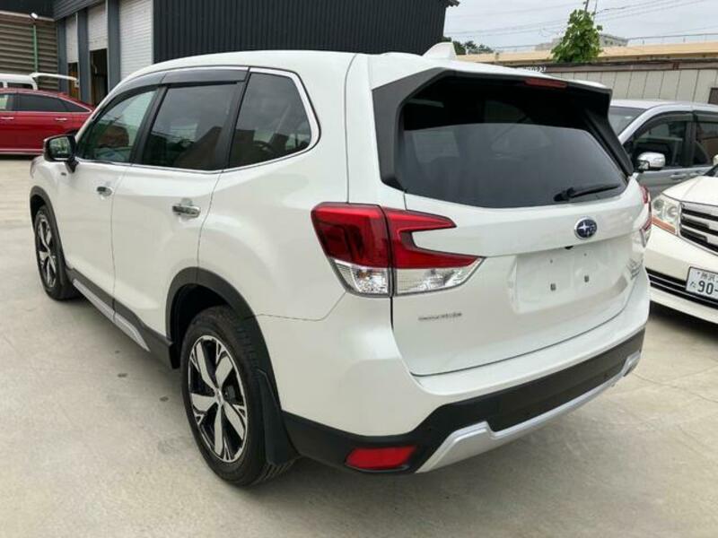 FORESTER