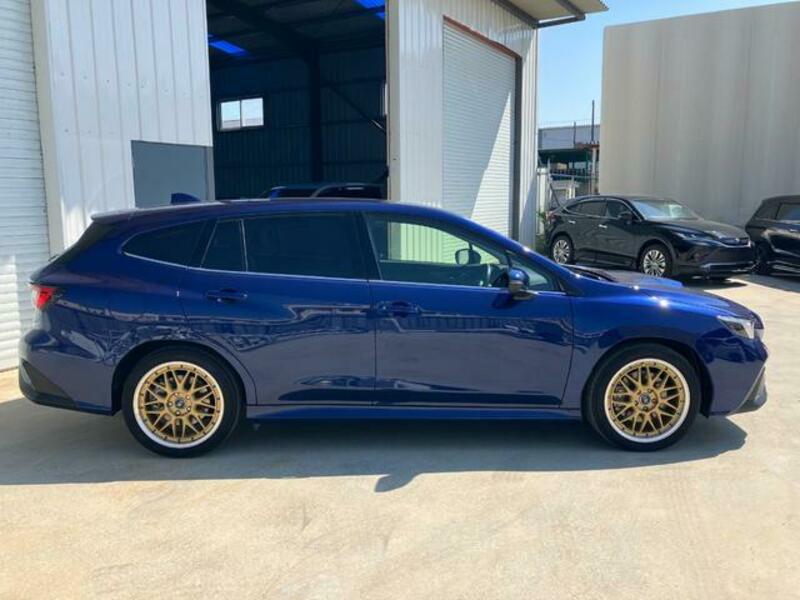 LEVORG