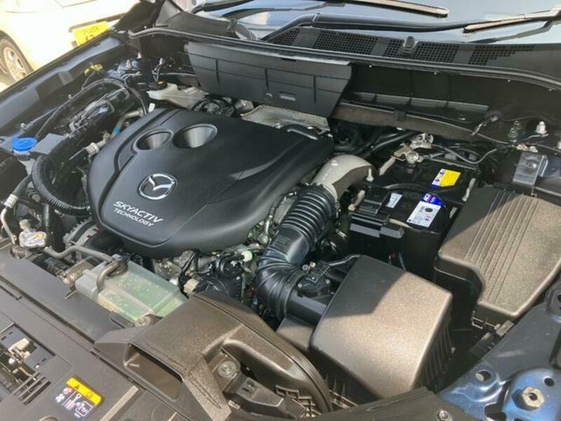 CX-8