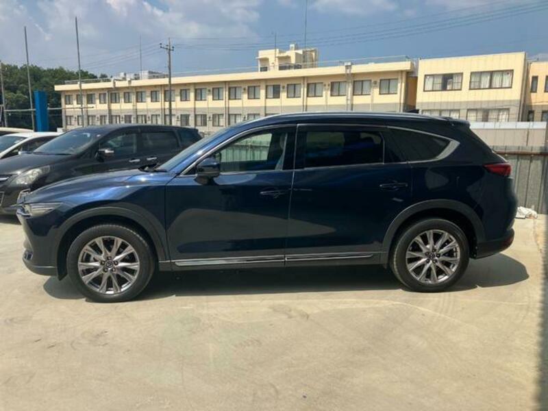 CX-8
