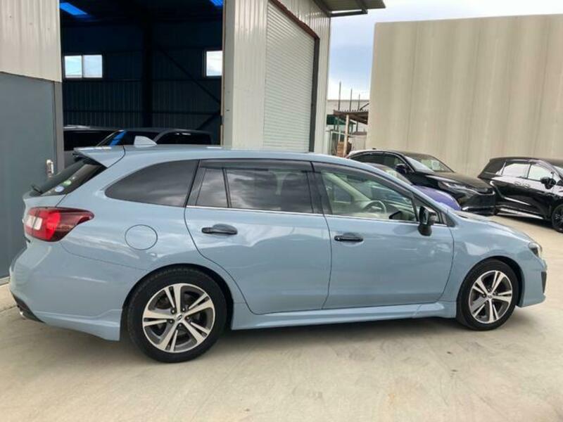 LEVORG