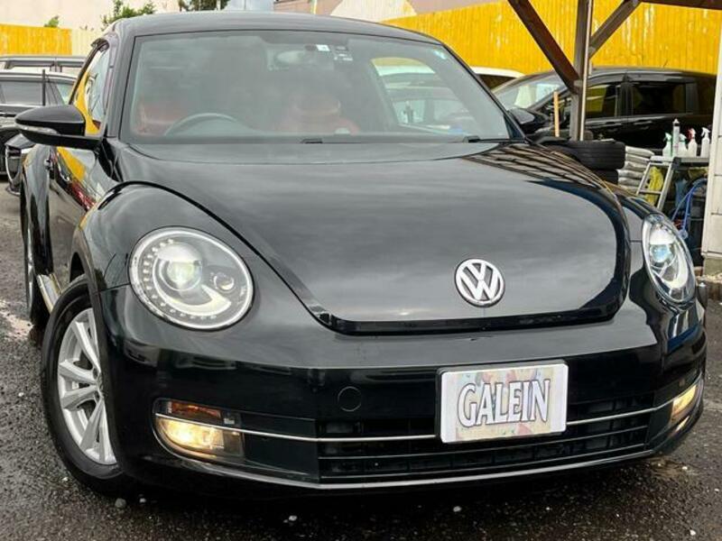 THE BEETLE
