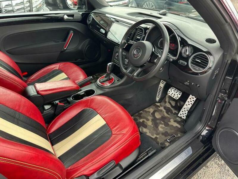 THE BEETLE