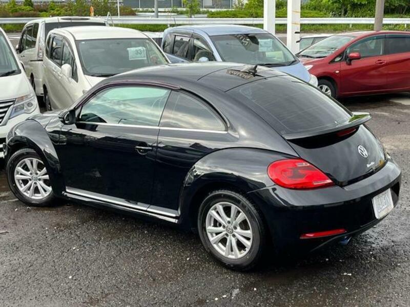 THE BEETLE