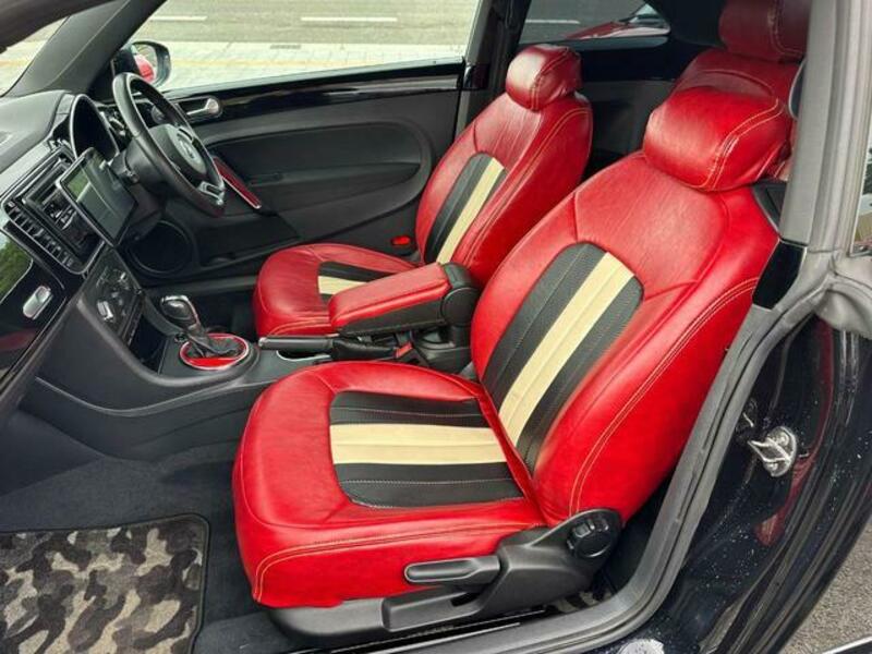 THE BEETLE