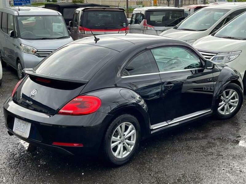 THE BEETLE