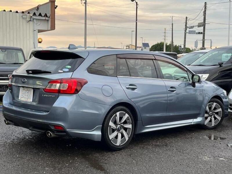 LEVORG