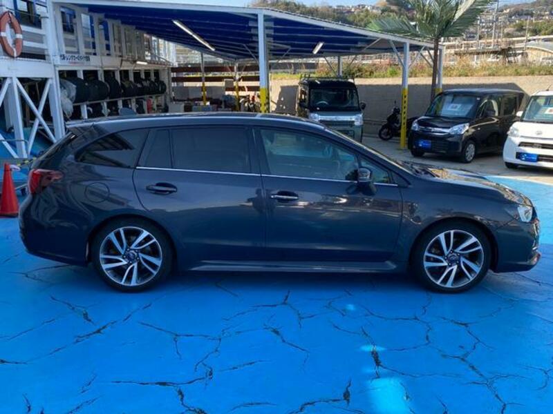 LEVORG