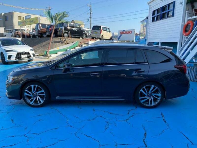 LEVORG