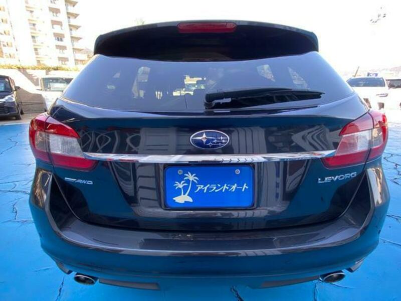 LEVORG