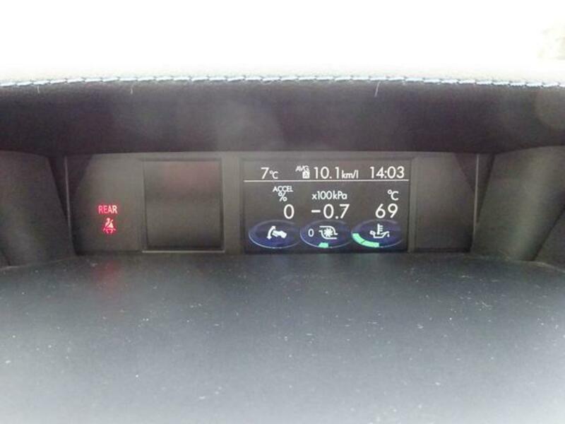 LEVORG
