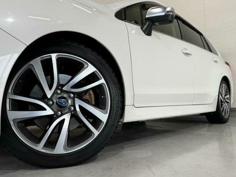 LEVORG