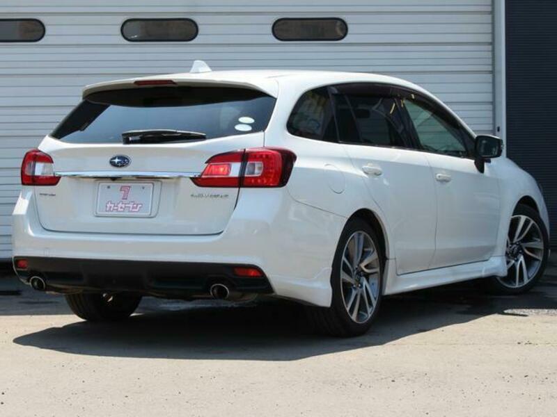 LEVORG