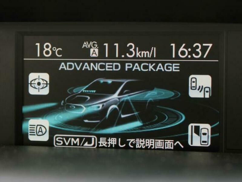 LEVORG