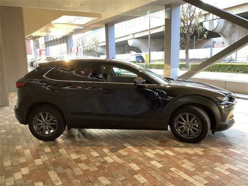 CX-30