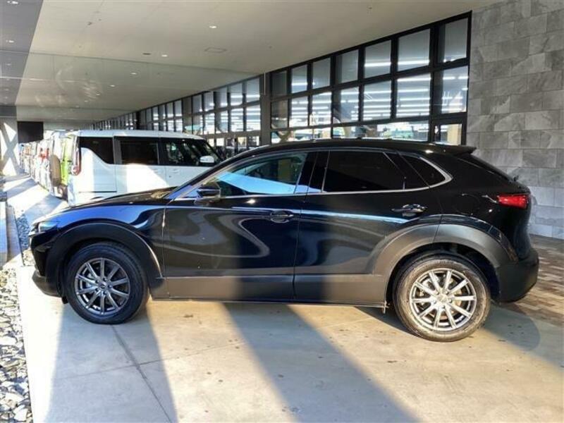 CX-30