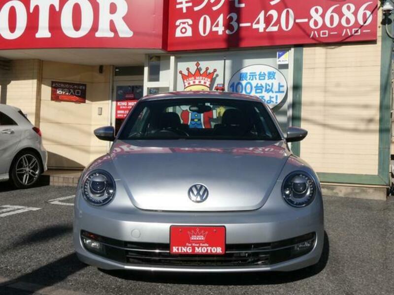 THE BEETLE