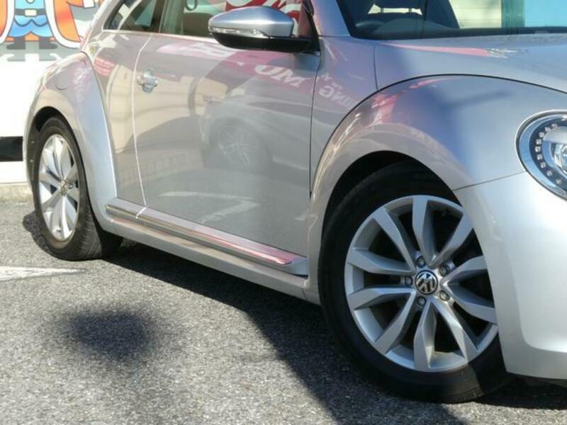 THE BEETLE