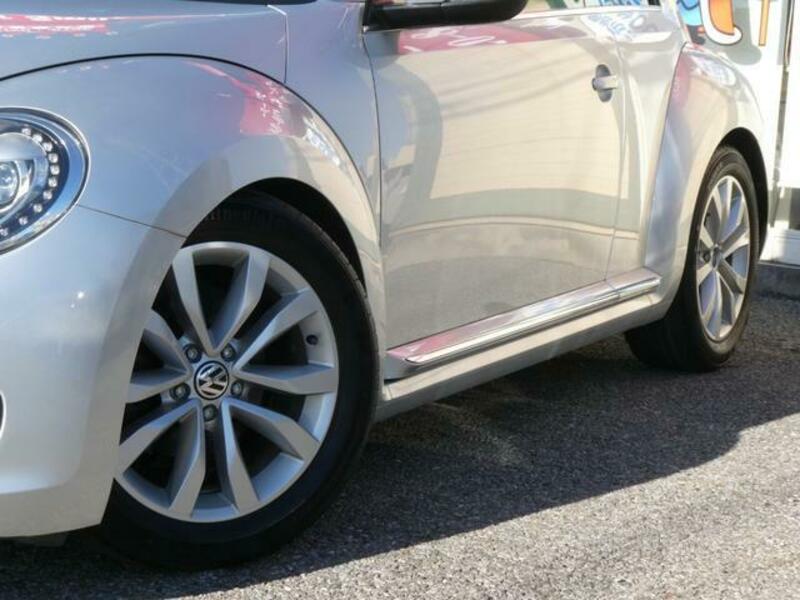 THE BEETLE