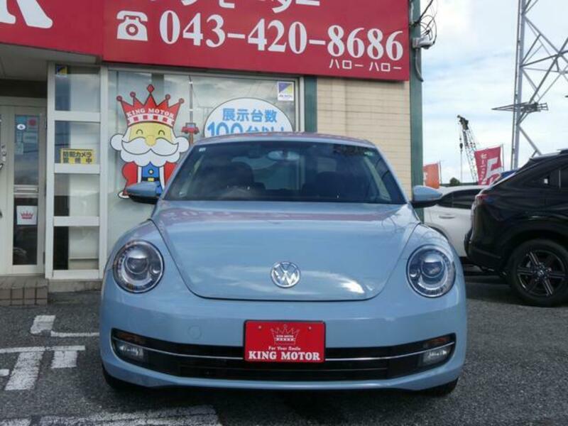 THE BEETLE