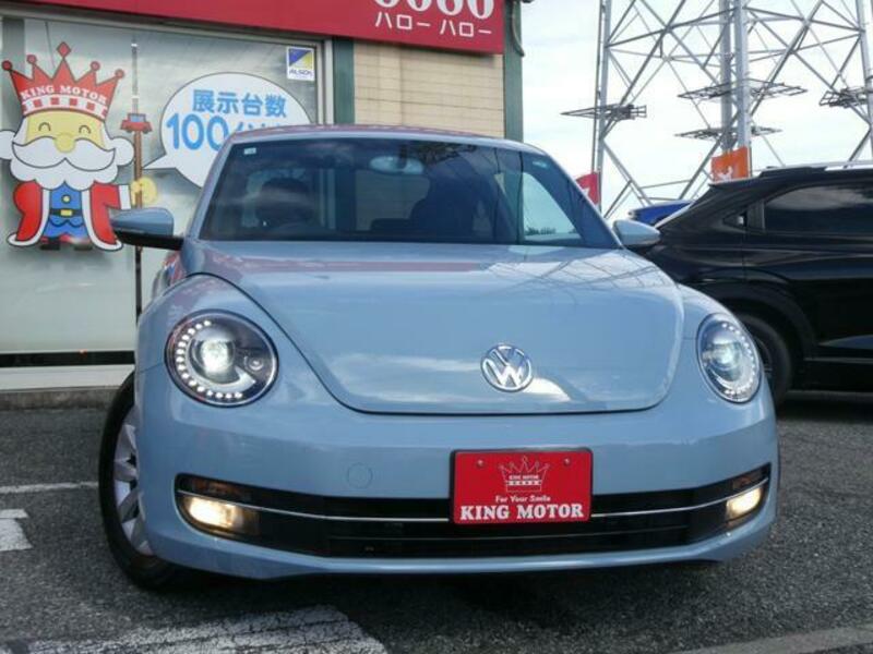 THE BEETLE