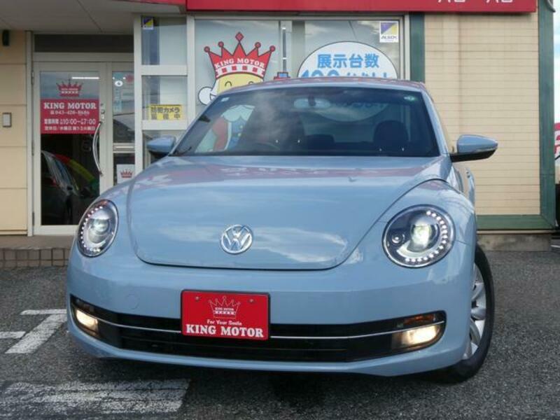 THE BEETLE
