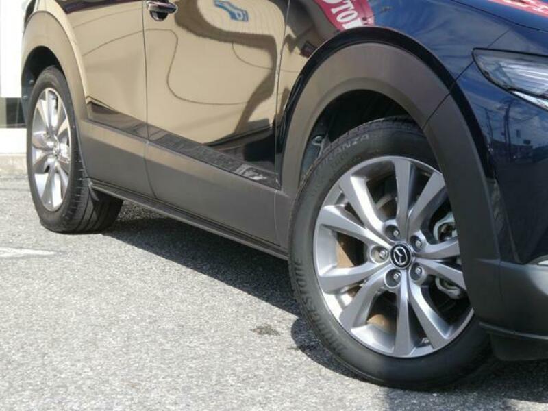 CX-30