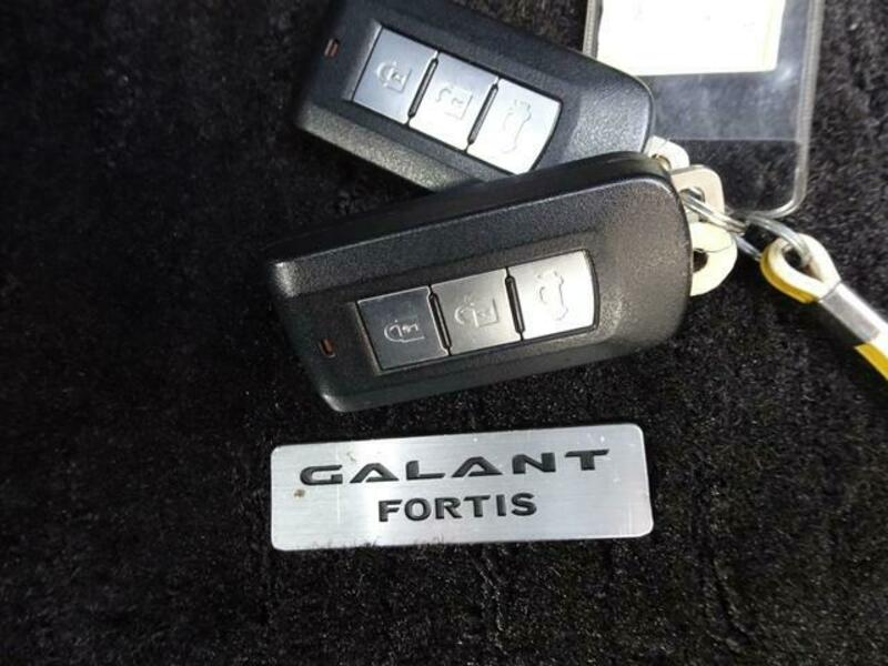 GALANT FORTIS