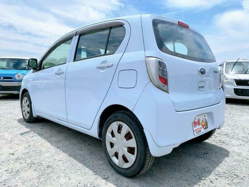 PLEO PLUS