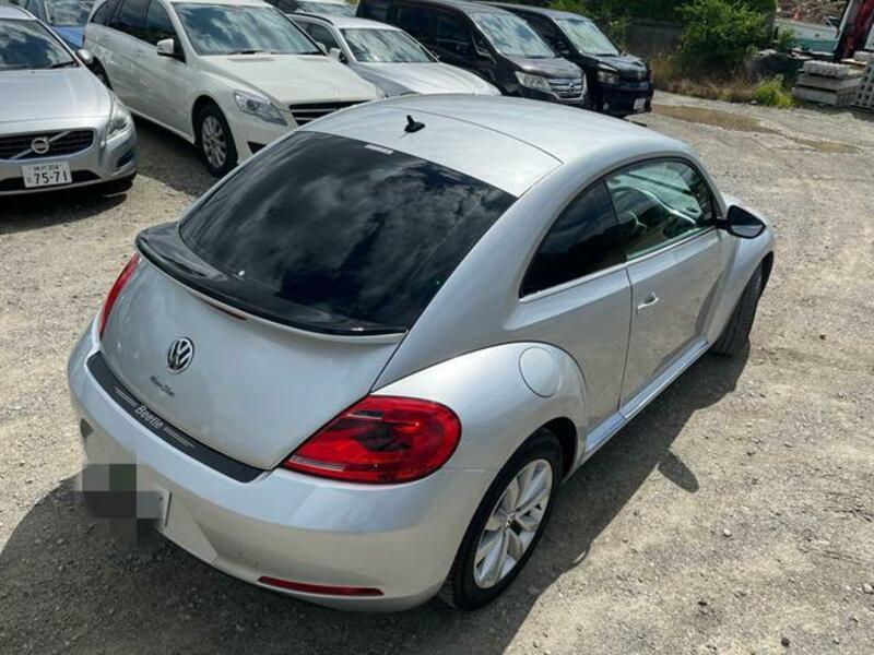 THE BEETLE