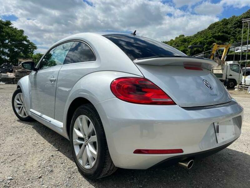 THE BEETLE