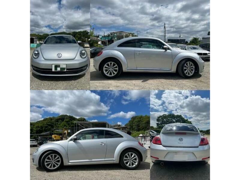 THE BEETLE