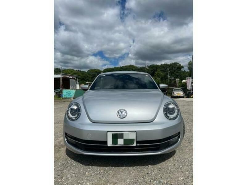 THE BEETLE