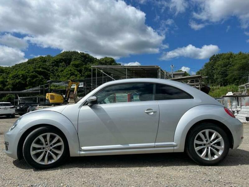 THE BEETLE