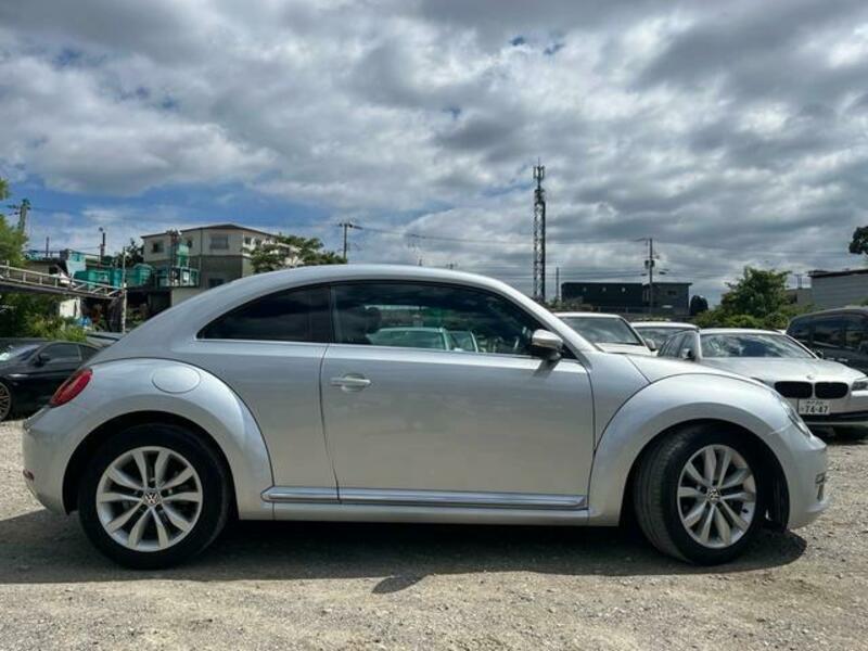 THE BEETLE