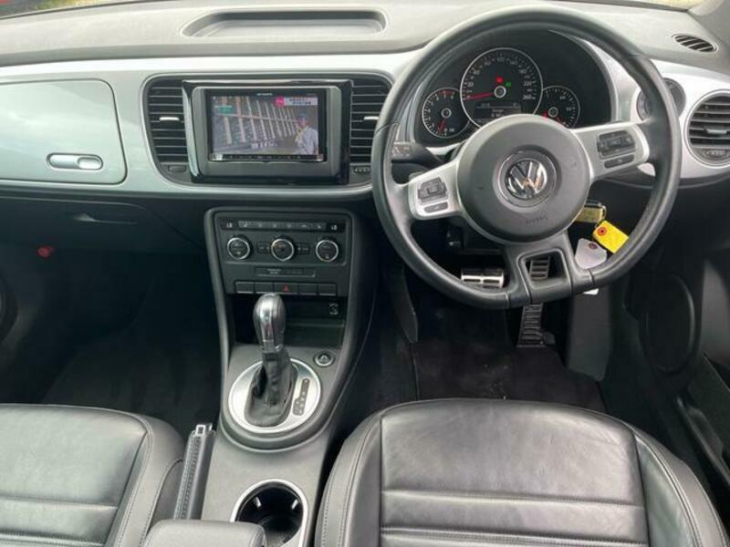 THE BEETLE