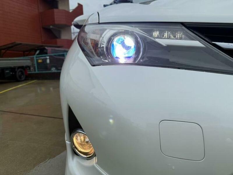 AURIS