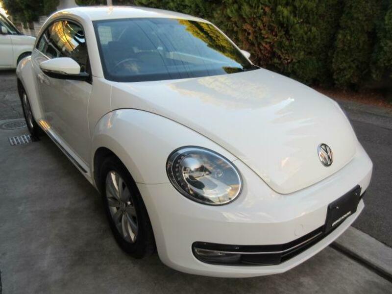 THE BEETLE