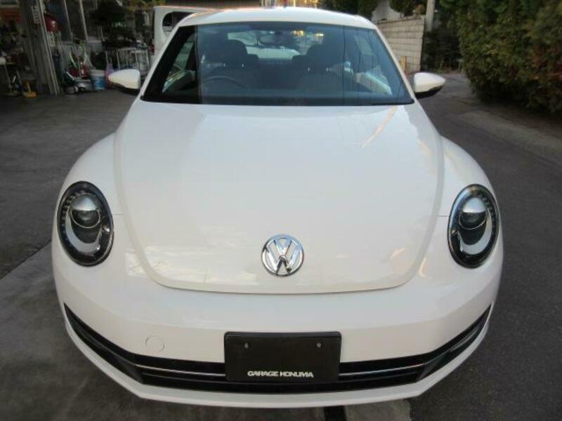 THE BEETLE
