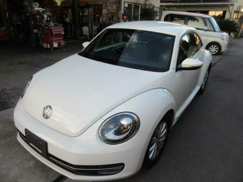 THE BEETLE