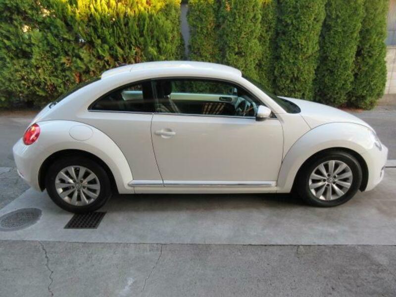 THE BEETLE